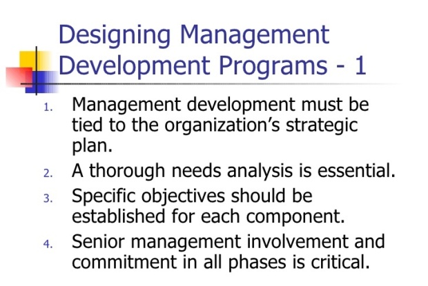 management-development-1.jpg